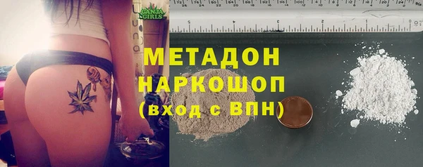 гидра Елизово