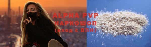 гидра Елизово