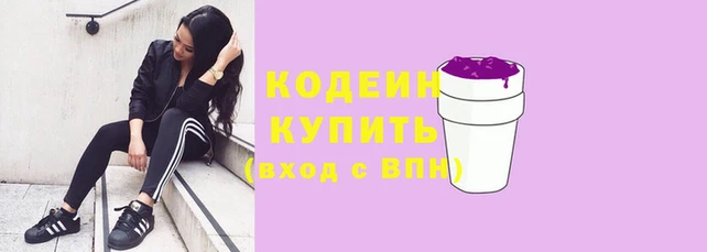 гидра Елизово