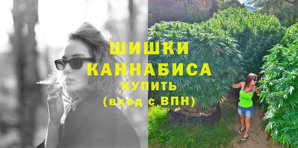 кокс Ельня
