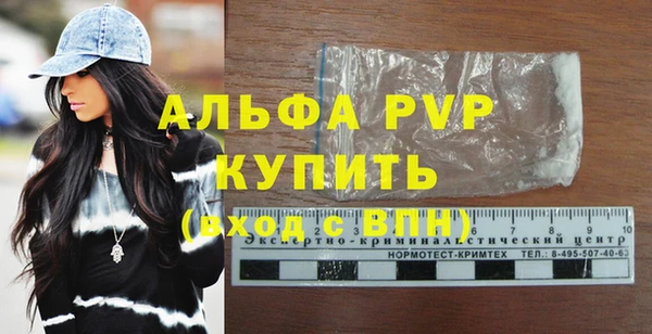 гидра Елизово