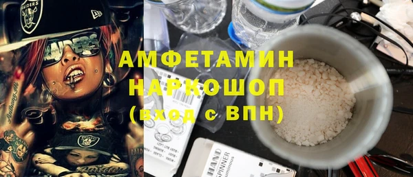 гидра Елизово
