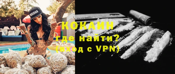 кокс Ельня