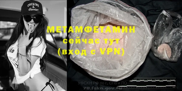 гидра Елизово