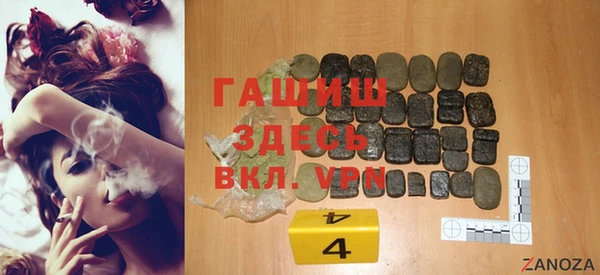 гидра Елизово